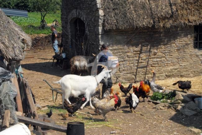 Fotografia intitolato "la cour de ferme de…" da Michel Bettendroffer, Opera d'arte originale