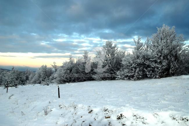 Fotografia intitulada "paysage de neige" por Michel Bettendroffer, Obras de arte originais
