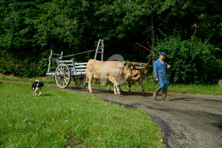 Fotografie getiteld "Michel, paysan du d…" door Michel Bettendroffer, Origineel Kunstwerk