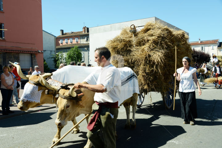 "st-girons-aout-16-2…" başlıklı Fotoğraf Michel Bettendroffer tarafından, Orijinal sanat