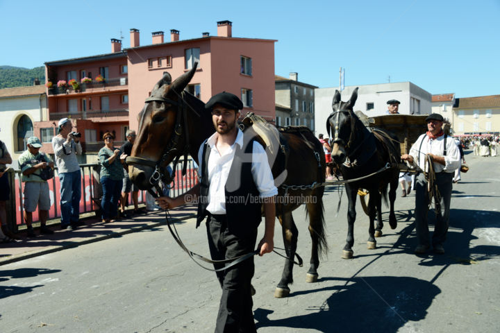 Фотография под названием "st-girons-aout-16-3…" - Michel Bettendroffer, Подлинное произведение искусства