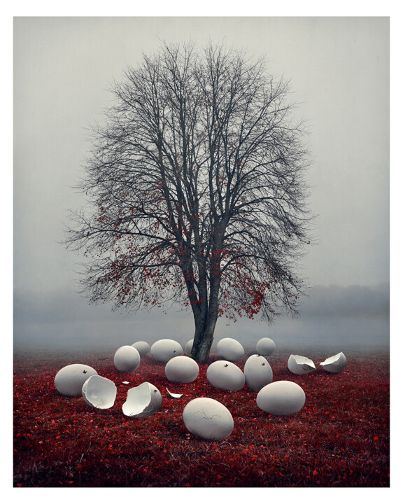 Фотография под названием "Hibernation 1/3" - Bettina Dupont, Подлинное произведение искусства, Манипулированная фотография