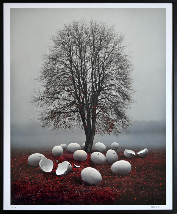 Photographie intitulée "Hibernation 2/3" par Bettina Dupont, Œuvre d'art originale, Photographie numérique
