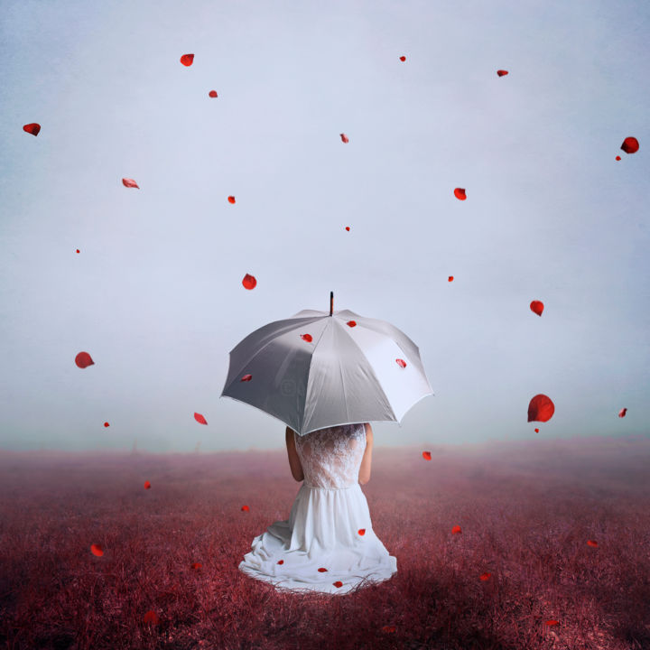 Arts numériques intitulée "Eden" par Bettina Dupont, Œuvre d'art originale, Photo montage