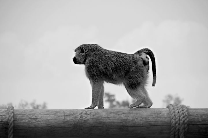 Fotografía titulada "Sin Título 5 de la…" por Betty Pink, Obra de arte original