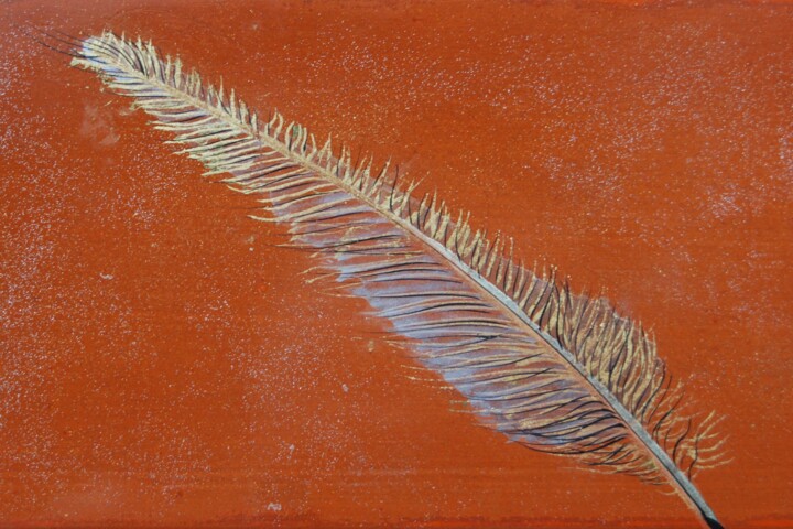 Rzemiosło artystyczne zatytułowany „Plume d'aigle royal…” autorstwa Beuz Art, Oryginalna praca