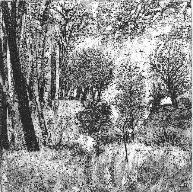 Drawing titled "" Paysage de forêt…" by Abol, Original Artwork