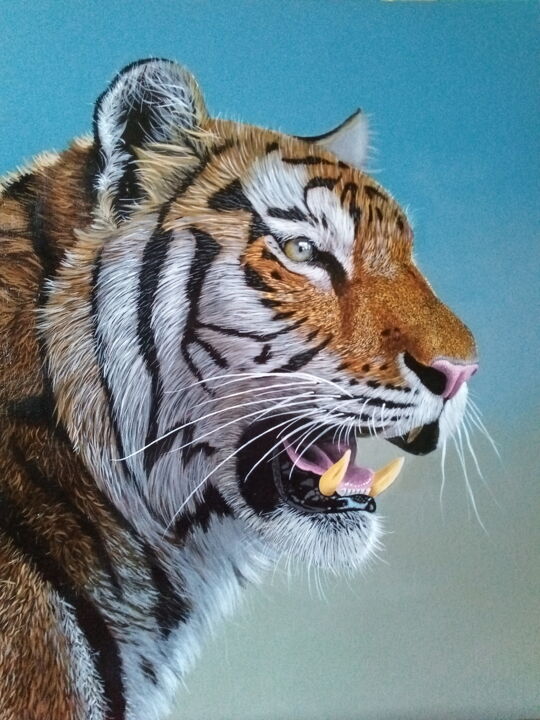 Schilderij getiteld "Tiger" door Barry Gray, Origineel Kunstwerk, Acryl