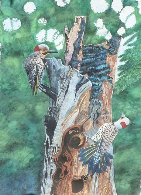 Painting titled "Woodpeckers'  Court…" by Bhagvati Nath, Original Artwork, Other