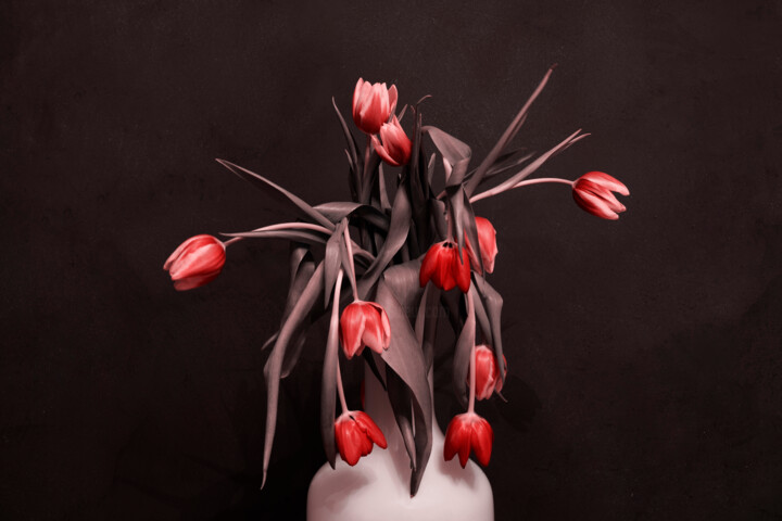 Photography titled "Red Flowers in a Va…" by Bilge Paksoylu, Original Artwork, Digital Photography