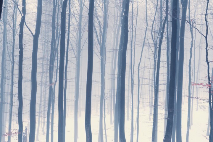 Photography titled "Winter Landscape Ph…" by Bilge Paksoylu, Original Artwork, Digital Photography