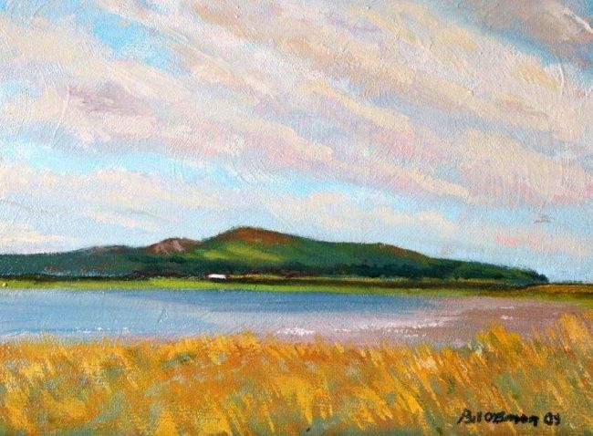 Painting titled "Hill of Howth (Sout…" by Bill O'Brien, Original Artwork, Oil