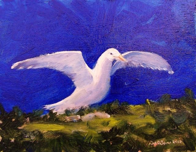 Painting titled "Gull" by Bill O'Brien, Original Artwork, Oil