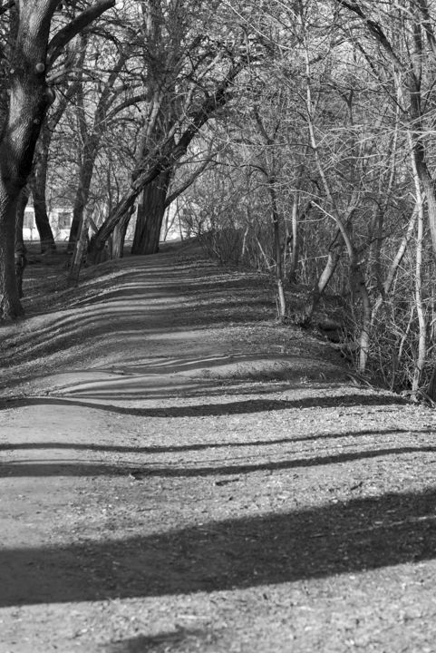 Photography titled "Pathway" by Andrii Bilonozhko, Original Artwork, Digital Photography