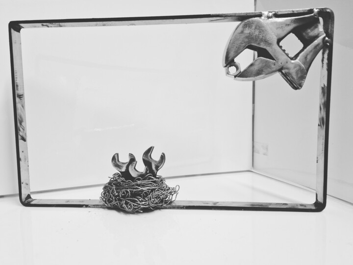 Skulptur mit dem Titel "Cadre Oiseaux" von Bin'S Métal, Original-Kunstwerk, Metalle