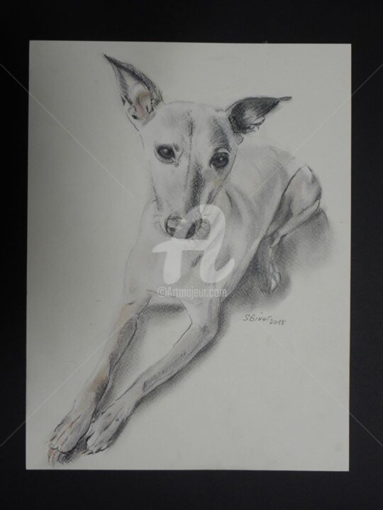 Tekening getiteld "chien sphynx" door Sophie Binet, Origineel Kunstwerk, Pastel