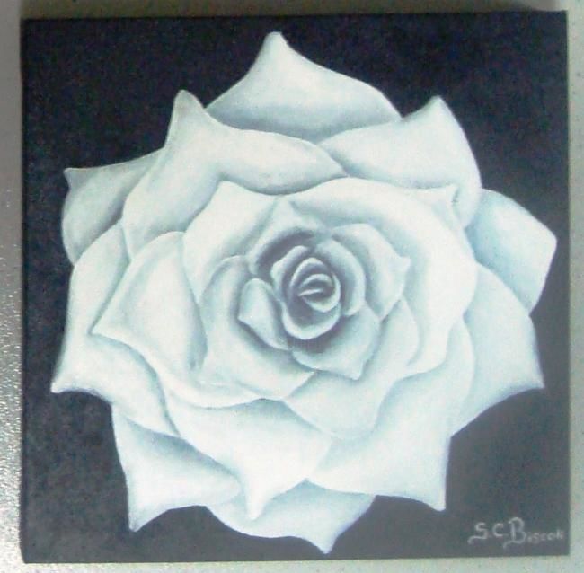 Pintura intitulada "rosa branca" por Silvio Cesar Biscoli Biscoli, Obras de arte originais, Óleo