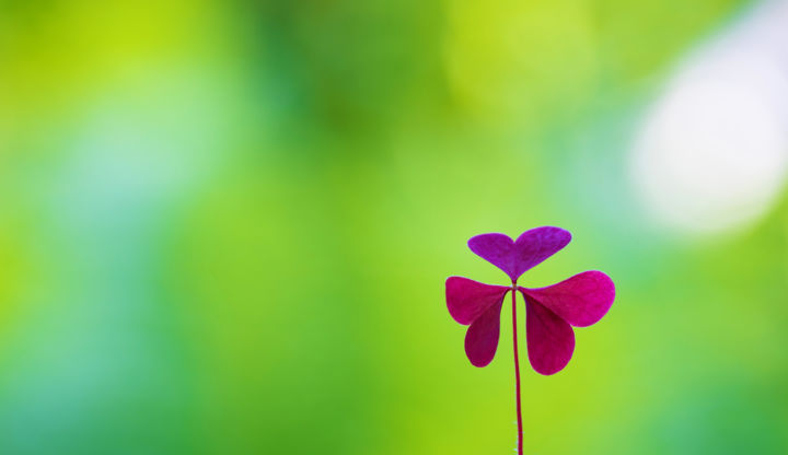 Фотография под названием "Lucky Summer" - Mariya Obidina, Подлинное произведение искусства, Цифровая фотография