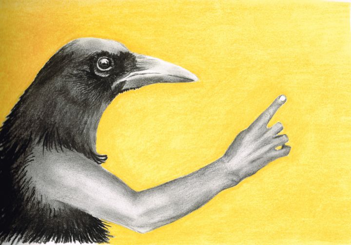 Drawing titled "corbeau" by Herr B, Original Artwork