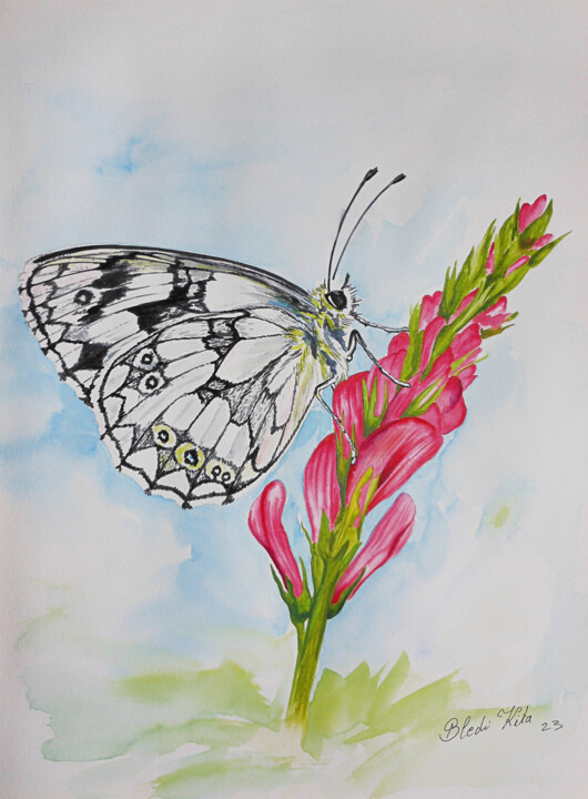 Painting titled "The Butterfly" by Bledi Kita, Original Artwork, Watercolor