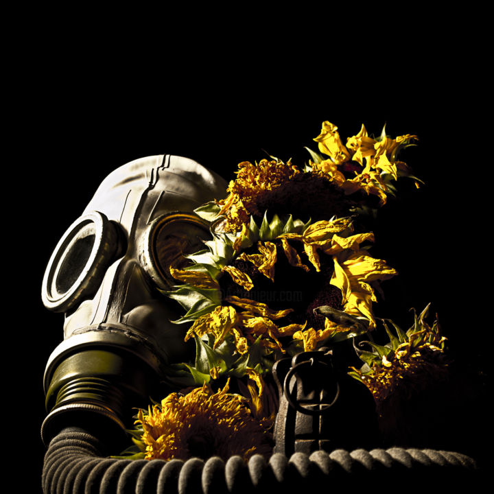 Photographie intitulée "gas-mask-and-flower…" par Bloomonkey, Œuvre d'art originale