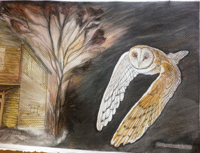 Drawing titled "golden-brown-owl.jpg" by Blossom Hackett, Original Artwork, Pastel