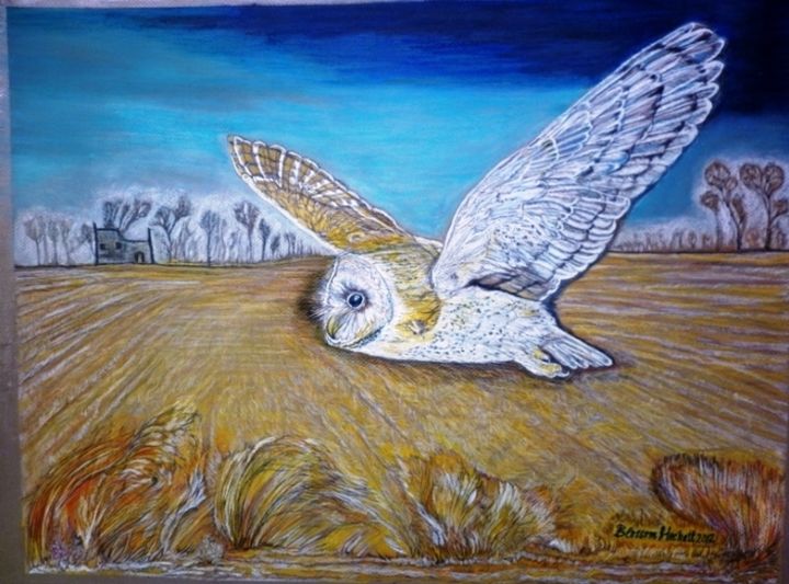 Drawing titled "whitebreastedbarnow…" by Blossom Hackett, Original Artwork