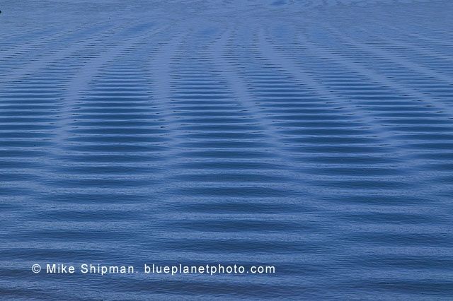 Fotografía titulada "Wave Abstract" por Mike Shipman, Obra de arte original
