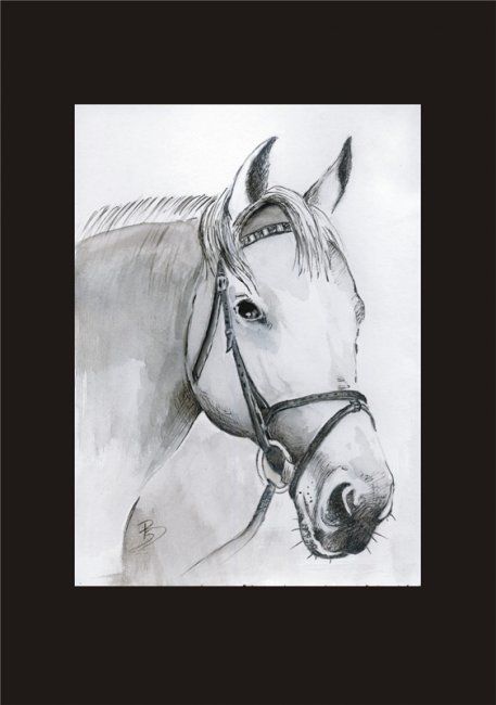 Dibujo titulada "HORSE PORTRAIT" por Beata Sikorska-Łabęcka, Obra de arte original, Otro