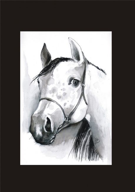 Rysunek zatytułowany „HORSE PORTRAIT” autorstwa Beata Sikorska-Łabęcka, Oryginalna praca, Inny