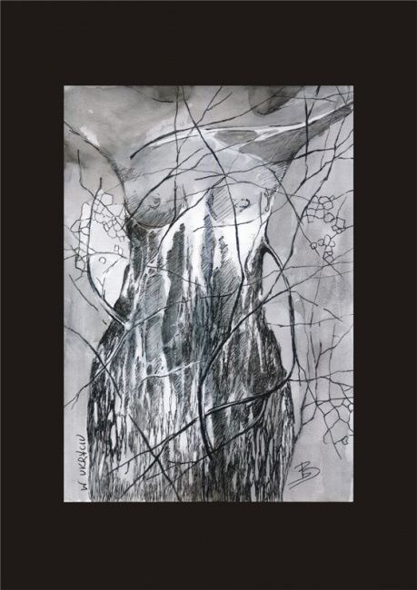 Dessin intitulée "WOMAN-TREE" par Beata Sikorska-Łabęcka, Œuvre d'art originale, Autre