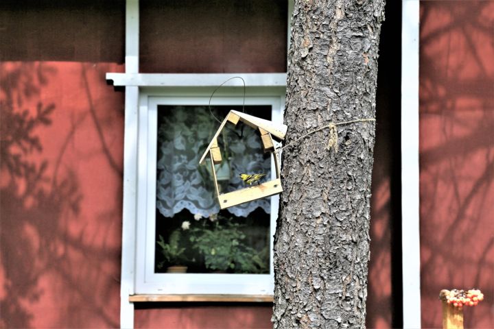 Photography titled "Drunk birdhouse. Ru…" by Boris Davidovich, Original Artwork, Digital Photography