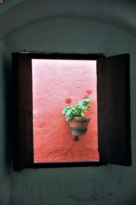 Photography titled "Geranium. Peru" by Boris Davidovich, Original Artwork, Digital Photography