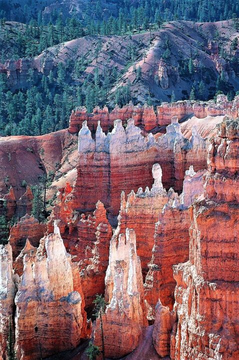 Φωτογραφία με τίτλο "Bryce canyon. Utah.…" από Boris Davidovich, Αυθεντικά έργα τέχνης, Ψηφιακή φωτογραφία