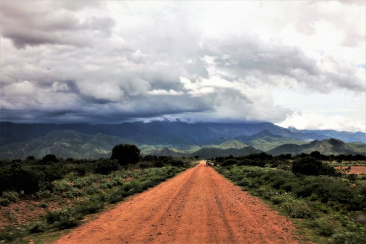 「Long Road. Africa」というタイトルの写真撮影 Boris Davidovichによって, オリジナルのアートワーク, デジタル