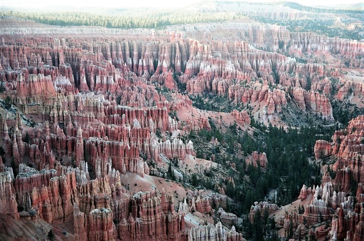 Fotografia intitolato "Bryce canyon. Utah.…" da Boris Davidovich, Opera d'arte originale, Fotografia digitale