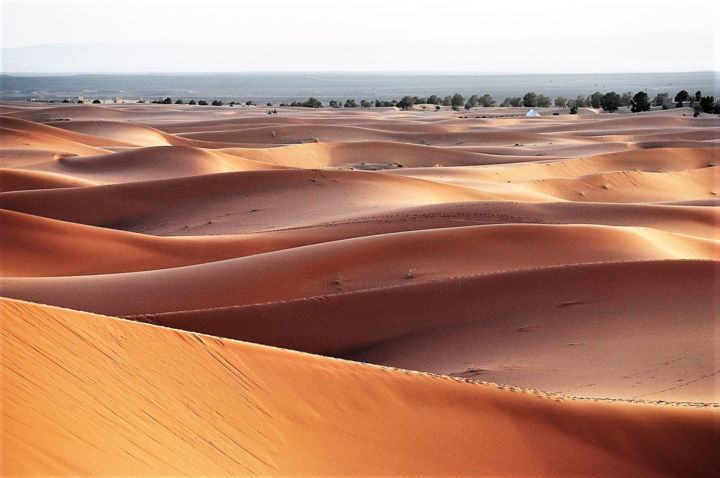 摄影 标题为“Sahara Desert. N3.…” 由Boris Davidovich, 原创艺术品