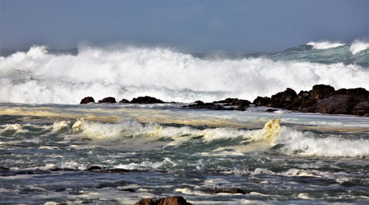 Photography titled "Cape of Good Hope.…" by Boris Davidovich, Original Artwork, Digital Photography Mounted on Wood Stretche…