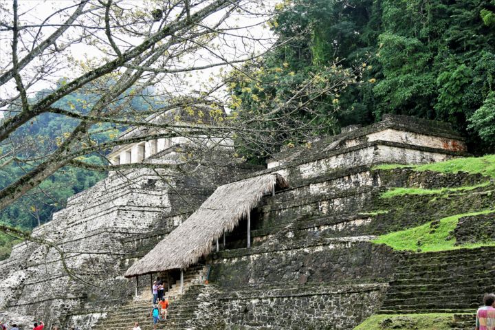 Photography titled "Palenque. #2. Mexico" by Boris Davidovich, Original Artwork, Digital Photography