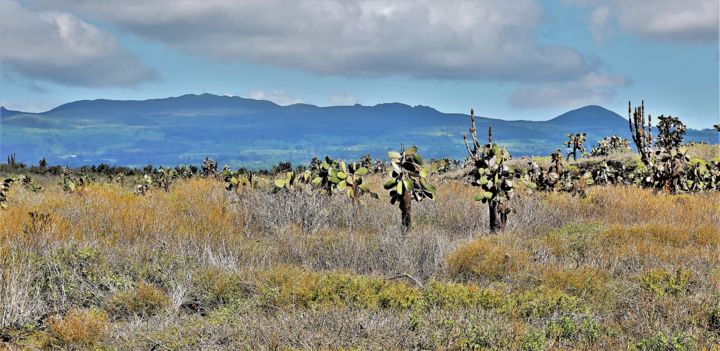 Photographie intitulée "Landscape. Galapago…" par Boris Davidovich, Œuvre d'art originale, Photographie numérique