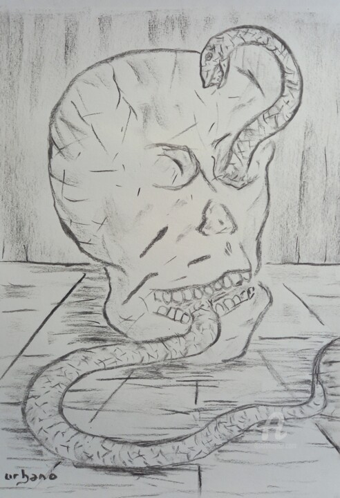 Disegno intitolato "Le serpent de la mo…" da Roberto Urbano, Opera d'arte originale, Carbone