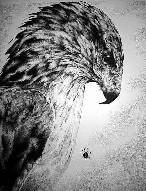 Dessin intitulée "redtail" par Kro Bobby, Œuvre d'art originale