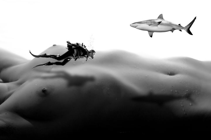 Фотография под названием "Diver" - Bodyscaper, Подлинное произведение искусства