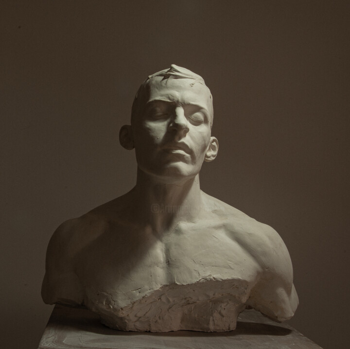 Sculptuur,  16,5x15 in 