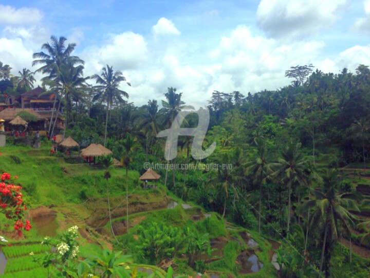 Photographie intitulée "Bali55" par Bogner Eva, Œuvre d'art originale, Photographie numérique