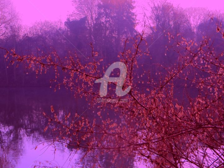 Fotografía titulada "tenue magenta" por Jean Louis Boguet, Obra de arte original