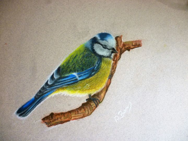 Drawing titled "Bird" by Bom Art, Original Artwork, Pastel