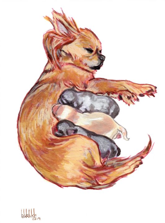 Pintura intitulada "LONG COATED CHIHUAH…" por Barake Sculptor, Obras de arte originais, Guache