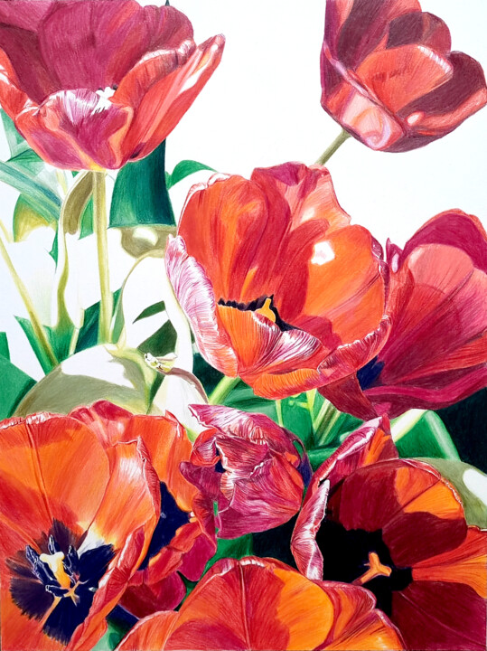 Drawing titled "Red flowers field" by Sandrine Borgniet, Original Artwork, Pencil