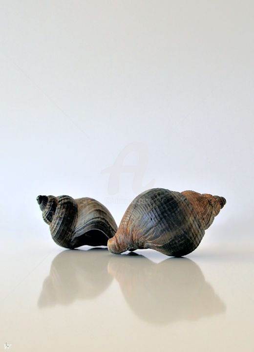 Fotografia intitolato "SEAJEWELS" da Borgo San Bernardo, Opera d'arte originale, Fotografia non manipolata